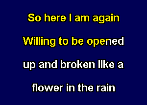 So here I am again

Willing to be opened

up and broken like a

flower in the rain