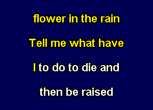 flower in the rain

Tell me what have

I to do to die and

then be raised