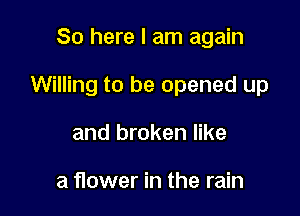 So here I am again

Willing to be opened up

and broken like

a flower in the rain