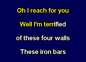 Oh I reach for you

Well I'm terrified
of these four walls

These iron bars