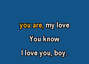 you are, my love

You know

I love you, boy.