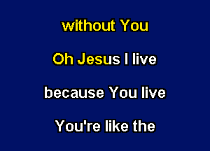 without You

Oh Jesus I live

because You live

You're like the