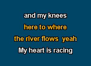 and my knees
here to where

the river flows yeah

My heart is racing