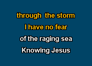 through the storm

I have no fear

of the raging sea

Knowing Jesus