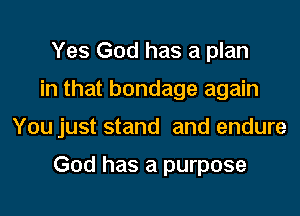 Yes God has a plan
in that bondage again
You just stand and endure

God has a purpose