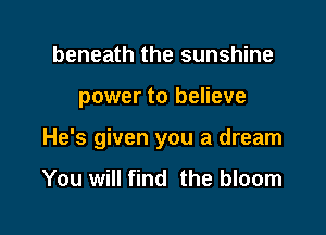 beneath the sunshine

power to believe

He's given you a dream

You will find the bloom