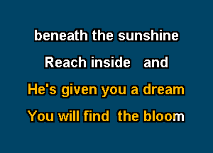beneath the sunshine

Reach inside and

He's given you a dream

You will find the bloom