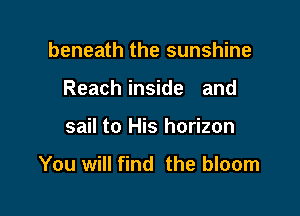 beneath the sunshine
Reach inside and

sail to His horizon

You will find the bloom