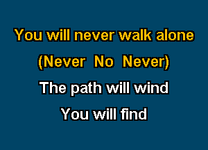 You will never walk alone

(Never No Never)

The path will wind

You will find