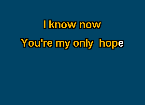 I know now

You're my only hope