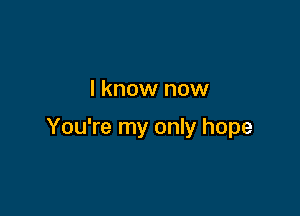 I know now

You're my only hope