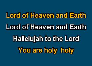 Lord of Heaven and Earth
Lord of Heaven and Earth

Hallelujah to the Lord
You are holy holy