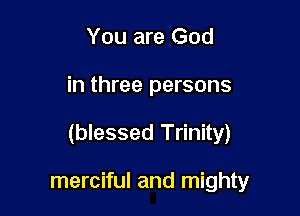 You are God

in three persons

(blessed Trinity)

merciful and mighty