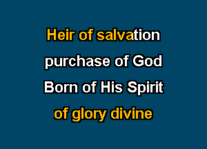 Heir of salvation

purchase of God

Born of His Spirit

of glory divine