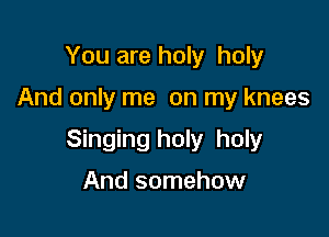 You are holy holy

And only me on my knees

Singing holy holy

And somehow