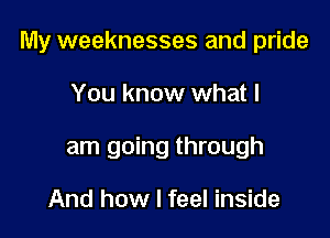 My weaknesses and pride

You know what I
am going through

And how I feel inside