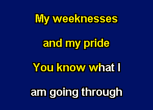 My weaknesses
and my pride

You know what I

am going through
