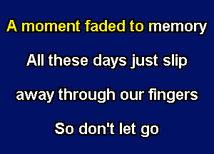 A moment faded to memory
All these days just slip
away through our fingers

So don't let go