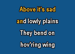 Above it's sad

and lowly plains

They bend on

hov'ring wing