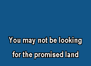 You may not be looking

for the promised land