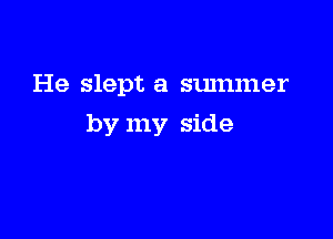 He slept a summer

by my side