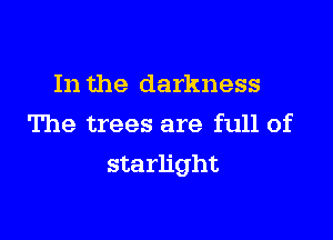 In the darkness

The trees are full of
starlight