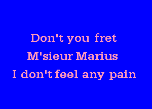 Don't you fret
M'sieur Marius

I don't feel any pain