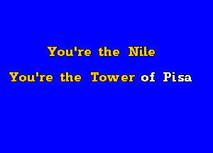 You're the Nile

You're the Tower of Pisa
