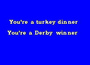 You're a turkey din ner

You're a Derby winner