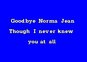 Good bye Norma Jean

Though I never knew

you at all