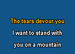 The tears devour you

lwant to stand with

you on a mountain