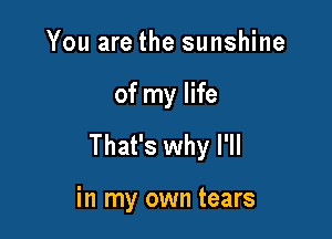 You are the sunshine

of my life

That's why l'll

in my own tears
