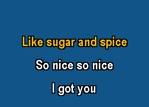 Like sugar and spice

So nice so nice

I got you
