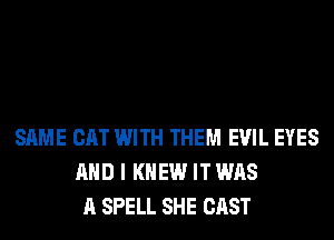 SAME CAT WITH THEM EVIL EYES
AND I KNEW IT WAS
A SPELL SHE CAST