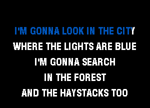 I'M GONNA LOOK IN THE CITY
WHERE THE LIGHTS ARE BLUE
I'M GONNA SEARCH
IN THE FOREST
AND THE HAYSTACKS T00