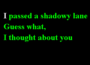 I passed a shadovw lane
Guess What,

I thought about you