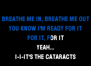 BREATHE ME IN, BREATHE ME OUT
YOU KNOW I'M READY FOR IT
FOR IT, FOR IT
YEAH...
l-l-IT'S THE CATARACTS