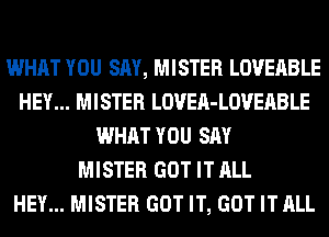 WHAT YOU SAY, MISTER LOVEABLE
HEY... MISTER LOVEA-LOVEABLE
WHAT YOU SAY
MISTER GOT IT ALL
HEY... MISTER GOT IT, GOT IT ALL