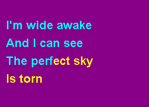 I'm wide awake
And I can see

The perfect sky
ls torn