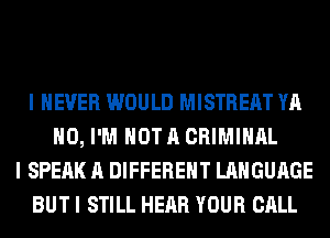 I NEVER WOULD MISTREAT YA
H0, I'M NOT A CRIMINAL
I SPEAK A DIFFERENT LANGUAGE
BUT I STILL HEAR YOUR CALL