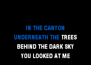 IN THE CANYON
UHDERNEATH THE TREES
BEHIND THE DARK SKY

YOU LOOKED AT ME I