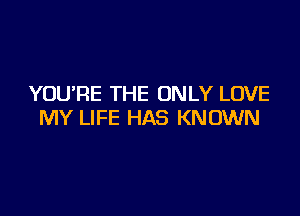 YOURE THE ONLY LOVE

MY LIFE HAS KNOWN