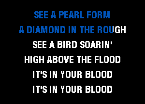 SEE J1 PEARL FORM
A DIAMOND IN THE ROUGH
SEE A BIRD SOARIN'
HIGH ABOVE THE FLOOD
IT'S IN YOUR BLOOD
IT'S IN YOUR BLOOD