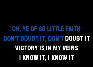0H, YE 0F 80 LITTLE FAITH
DON'T DOUBT IT, DON'T DOUBT IT
VICTORY IS IN MY VEIHS
I KNOW IT, I KNOW IT