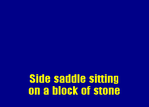 Sine saddle sitting
on a block of stone