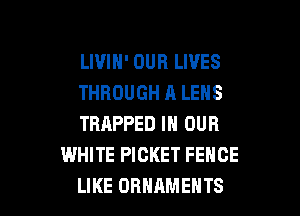 LIVIH' OUR LIVES

THBOUGHALENS

TRAPPED IN OUR
WHITE PICKET FENCE

LIKE ORNAMENTS l