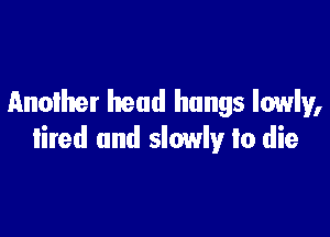 Another head hangs lowly,

tired and slowly to die