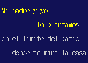 Mi madre y yo
10 plantamos
en el limite del patio

donde termina la casa