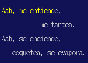 Aah, me entiende,

me tantea.

Aah, se enciende,

coquetea, se evapora.