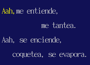 Aah,me entiende,

me tantea.

Aah, se enciende,

coquetea, se evapora.